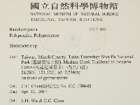 骨皮菌屬藏品圖，第2張