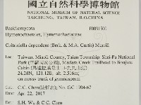 登錄號:F0031500藏品圖，第2張