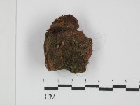 登錄號:F0031500藏品圖，第1張