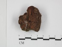 登錄號:F0031500藏品圖，第3張