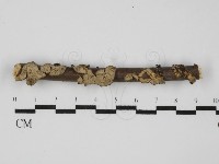 登錄號:F0031502藏品圖，第1張