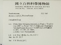 擬筍殼菌屬藏品圖，第2張