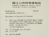 登錄號:F0031504藏品圖，第2張