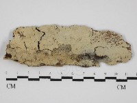 登錄號:F0031504藏品圖，第1張