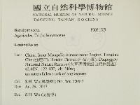 登錄號:F0031505藏品圖，第2張