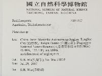 登錄號:F0031507藏品圖，第2張