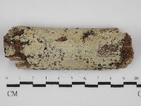 登錄號:F0031508藏品圖，第1張