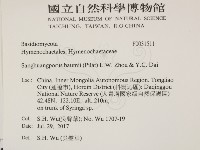 登錄號:F0031511藏品圖，第2張