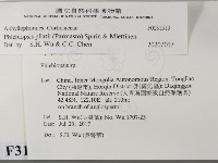 登錄號:F0031513藏品圖，第1張