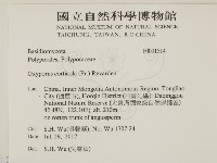 登錄號:F0031514藏品圖，第2張