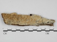 登錄號:F0031514藏品圖，第1張