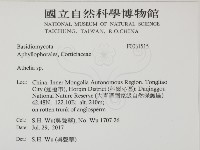 阿太菌屬藏品圖，第2張