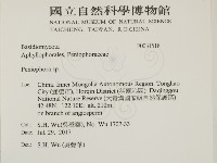 筍殼菌屬藏品圖，第2張