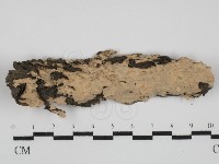 登錄號:F0031519藏品圖，第1張