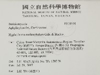 登錄號:F0031520藏品圖，第2張