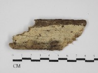 登錄號:F0031520藏品圖，第1張
