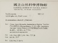 登錄號:F0031522藏品圖，第2張