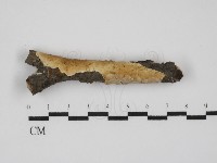登錄號:F0031522藏品圖，第1張