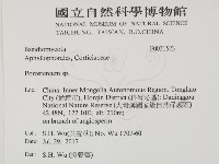 孔韌菌屬藏品圖，第2張