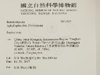 登錄號:F0031525藏品圖，第2張