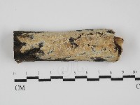 登錄號:F0031528藏品圖，第1張