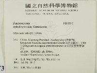 登錄號:F0031530藏品圖，第2張