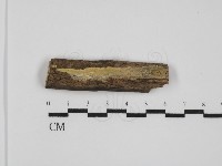 登錄號:F0031531藏品圖，第1張