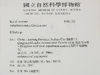 登錄號:F0031532藏品圖，第2張
