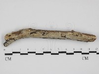 登錄號:F0031532藏品圖，第1張