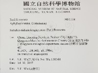 登錄號:F0031534藏品圖，第2張