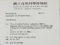 筍殼菌屬藏品圖，第2張