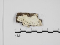 登錄號:F0031536藏品圖，第1張