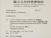 粗糙孢菌屬藏品圖，第2張