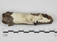 登錄號:F0031539藏品圖，第1張