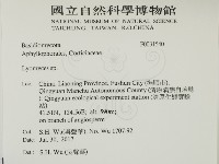 登錄號:F0031540藏品圖，第2張