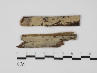 登錄號:F0031542藏品圖，第1張