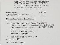 登錄號:F0031544藏品圖，第2張