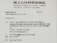 登錄號:F0031547藏品圖，第2張