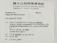 登錄號:F0031548藏品圖，第2張