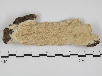 登錄號:F0031548藏品圖，第1張