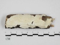 登錄號:F0031549藏品圖，第1張