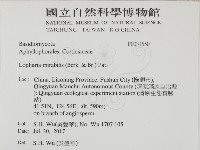 登錄號:F0031550藏品圖，第2張