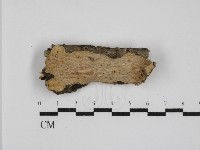 登錄號:F0031550藏品圖，第1張