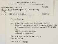 登錄號:F0031553藏品圖，第2張