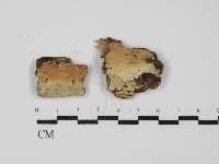 登錄號:F0031553藏品圖，第1張