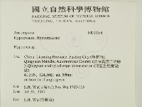 登錄號:F0031554藏品圖，第2張