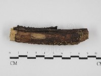 登錄號:F0031554藏品圖，第1張