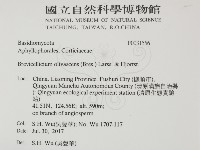 登錄號:F0031556藏品圖，第2張