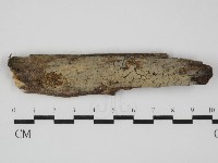 登錄號:F0031556藏品圖，第1張