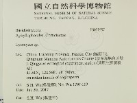 登錄號:F0031557藏品圖，第2張